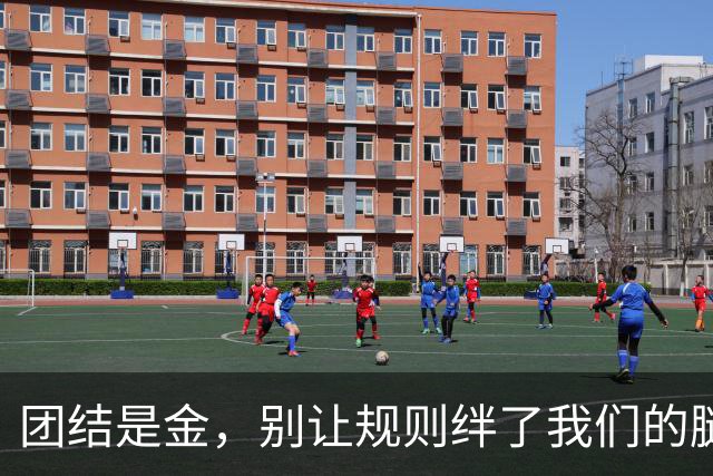 团结是金，别让规则绊了我们的腿